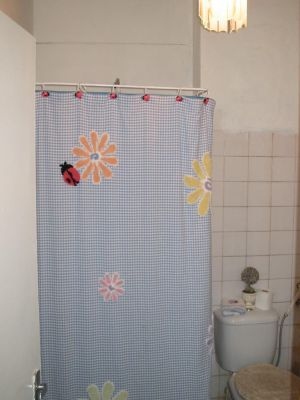 You would not believe the size of the ladybugs here.